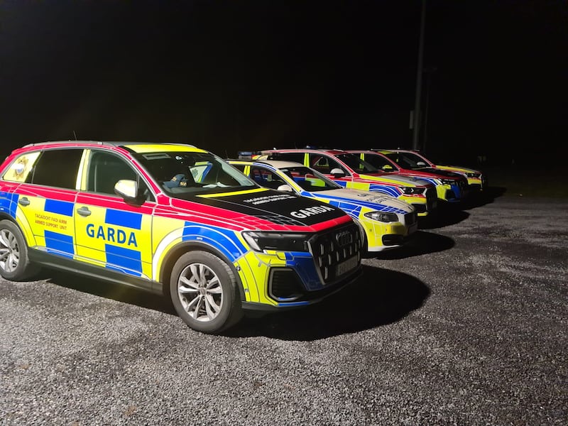 The large search team was comprised of gardaí from the Garda divisions in Galway, Westmeath and Offaly, supported by the Armed Support Unit from the Garda’s North Western and Eastern regions