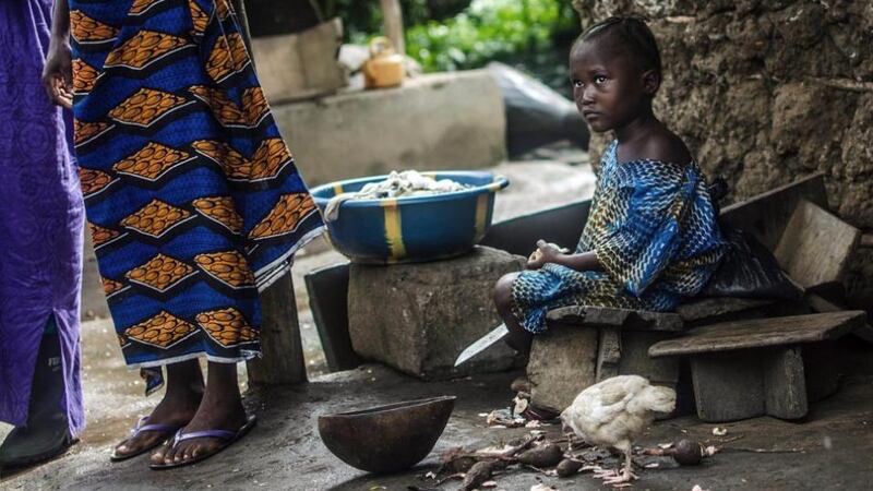 Sata Boa, who reportedly lost both of her parents and her grandmother to Ebola, peels cassava root in the village of Njala Giema, Sierra Leone. Photograph: Tommy Trenchard/The New York Times