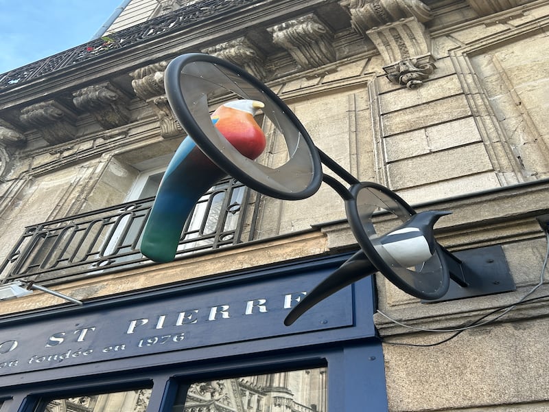 Birds perch in a pair of glasses in a shop sign. Photograph: Gemma Tipton