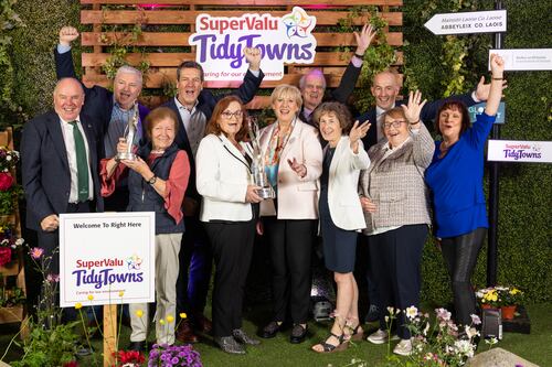 TidyTowns: Abbeyleix in Co Laois announced as winners