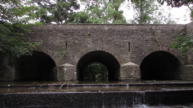 River mapping: no salmon eDNA has been detected above this weir on the Dinin at Crettyard, in Co Laois