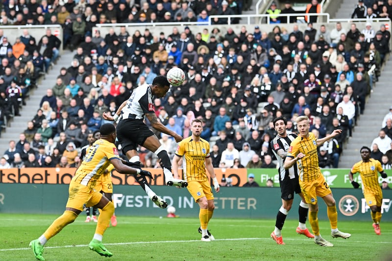 Joe Willock in action for Newcastle. Photograph: Andy Buchanan/AFP via Getty Images 