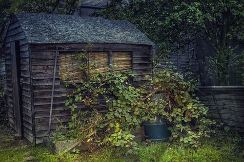 Neighbour’s brick shed comes on to my mother’s garden, what can I do?