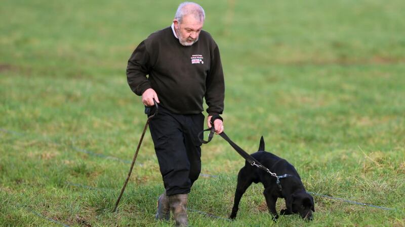 Michael Swindells from Search Dogs UK and his sniffer dog Ronnie helping experts from the International Commission for the Location of Victims Remains (ICVLR) search a field in Coghalstown, Co Meath for the remains of former Cistercian monk Joe Lynskey. Photograph: Niall Carson/PA Wire