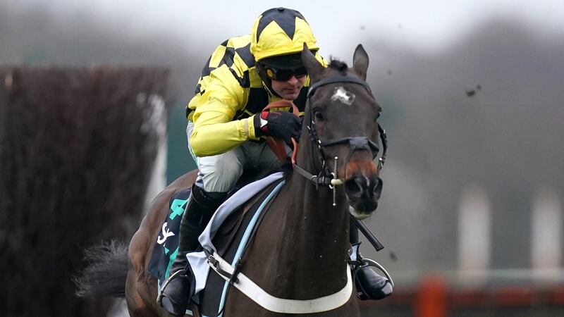 Shishkin emphasised his Cheltenham credentials at Ascot. Photograph: Adam Davy/PA