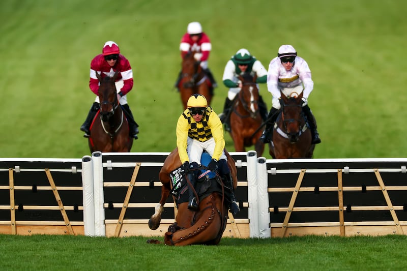 State Man falls at the last fence during the Champion Hurdle at Cheltenham. Photograph: Dan Istitene/Getty Images