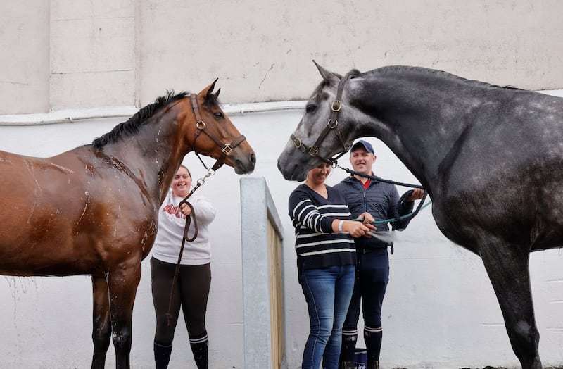 Mya O’Toole from Wicklow with gelding Major Sam, and Kate Devine and Sean Looney from Waterford with stallion Benlows Hero. Photograph: Alan Betson

