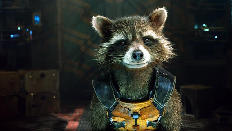 Rocket Raccoon (Bradley Cooper) in Guardians of the Galaxy. Yes, he's a raccoon