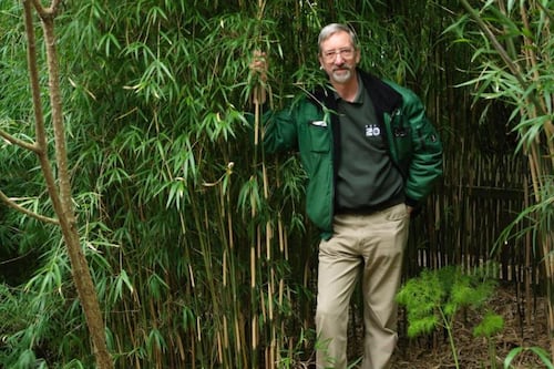 Our man in savannah: behind the plants at Dublin Zoo