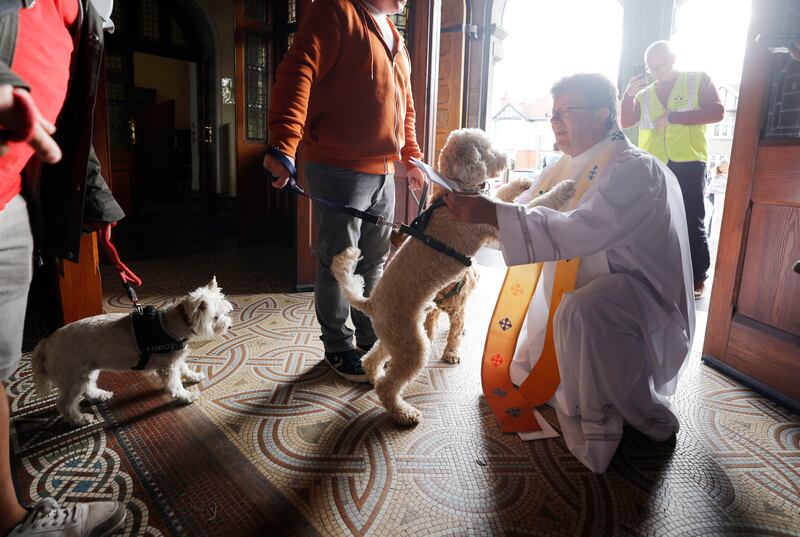 Fr Joseph Ryan performs a Blessing of the Animals at St Columba’s Church, Iona Rd. Photograph: Alan Betson