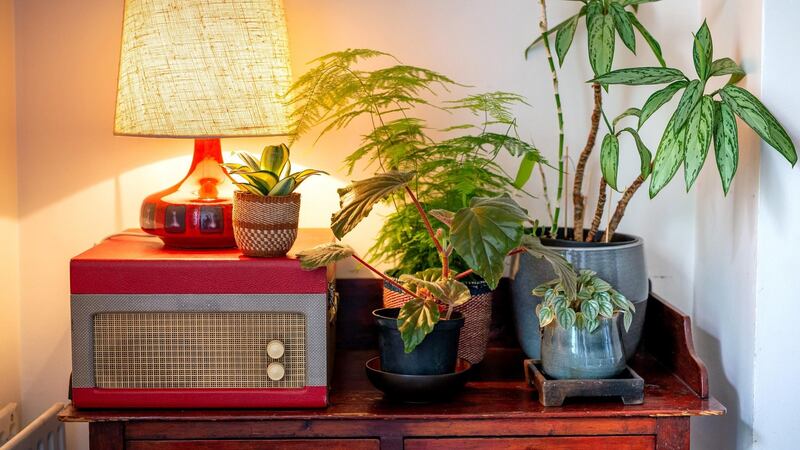 Many of the plant pots pictured, including the woven ones, are similar to those that will be on sale at Christmas Flea. One of the pots, the small one to the right, Greene made on an Arran Street East pottery course.