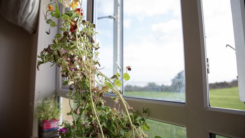 The view from Nazim’s window in Mosney refugee centre, Co Meath. Photogrpah; Sally Hayden