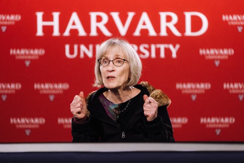 Claudia Goldin, the Henry Lee Professor of Economics at Harvard University, after being named this year's Nobel Laureate in the Economic Sciences. Photograph: Carlin Stiehl/Getty 