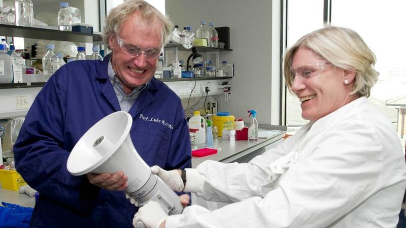 Scientists at work: Prof Cliona O’Farrelly and professor of biochemistry Luke O’Neil