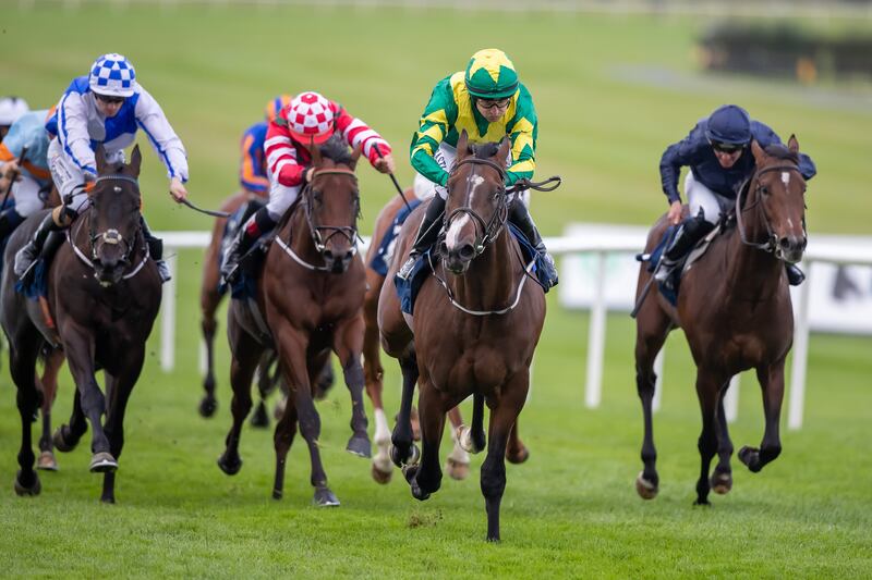 Shane Foley on Bold Discovery wins The Irish Stallion Farms EBF Maiden. Photograph: Morgan Treacy/INPHO