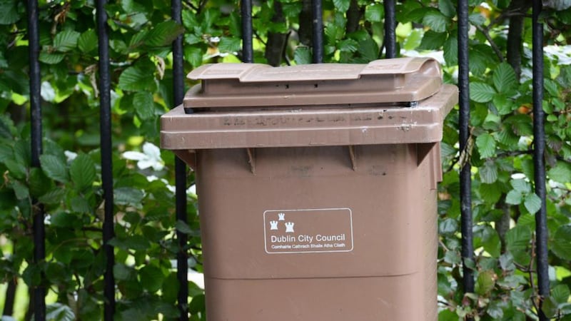 Householders often throw away food because they buy too much, or do not use it in time. Photograph: Cyril Byrne