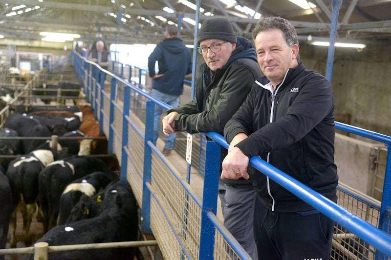 James Collins and Kieran Butler from Killbritain. Photo: Denis Boyle