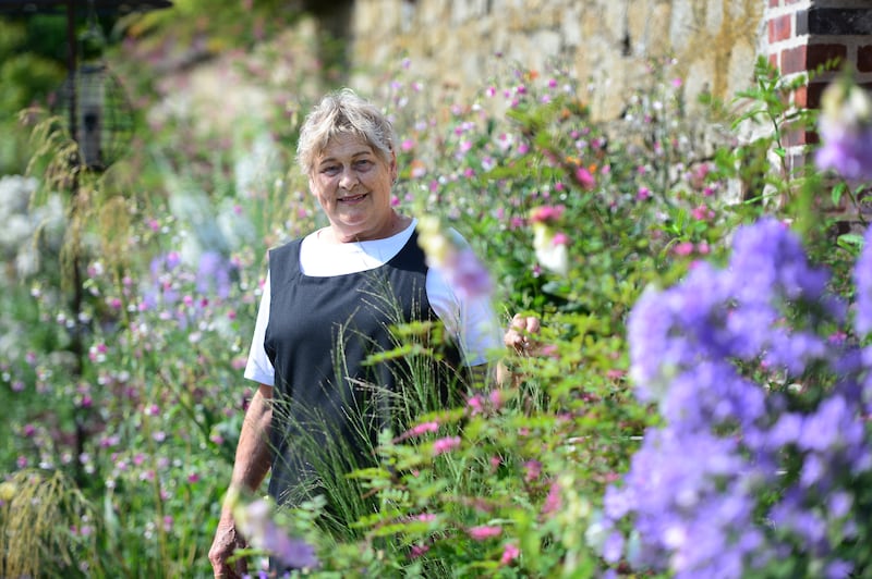 Helen Dillon pictured in the garden of her home in Monkstown, Co Dublin, in 2018. Photograph: Bryan O'Brien