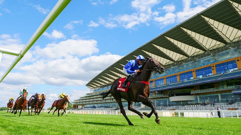 Sussex Stakes winner Mohaather has been retired to stud. Photograph: Mark Cranham/Getty