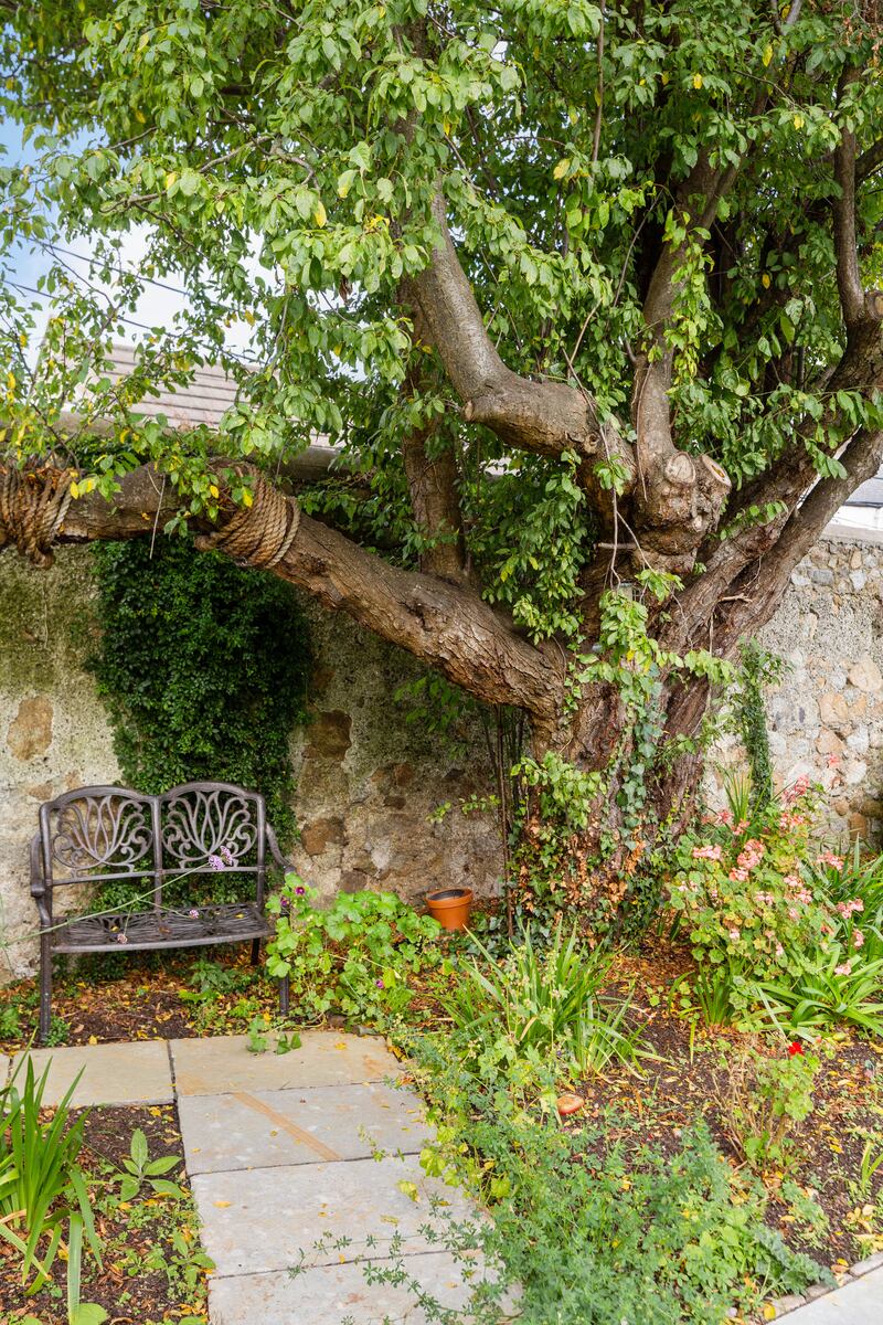 The back garden: Carysfort Park is nearby, and it’s a short distance down to the seafront and to Seapoint and Dún Laoghaire’s east and west piers. 