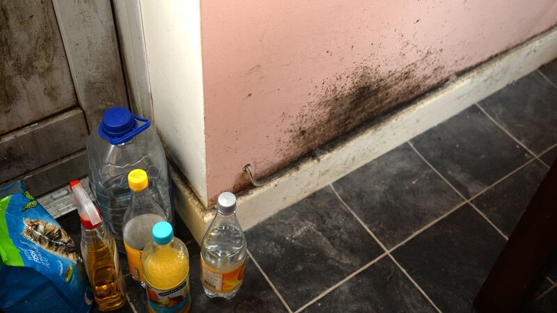 Mould on walls in a house at Tor an Rí, Balgaddy, Lucan, Co Dublin. Photograph: Dara Mac Dónaill