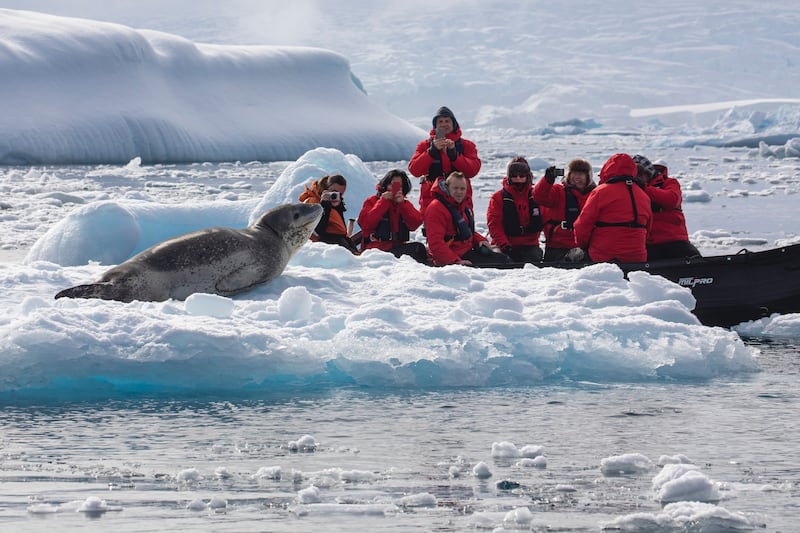 A luxury cruise in Antarctica is an unforgettable journey through the world’s last wilderness