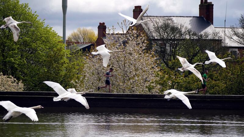 Runners in Waterworks Park during the 40th Belfast City Marathon on May 1st. Photograph: Niall Carson/PA