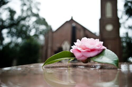 Weddings welcome in assembly rooms but no funerals, says Dún Laoghaire-Rathdown council