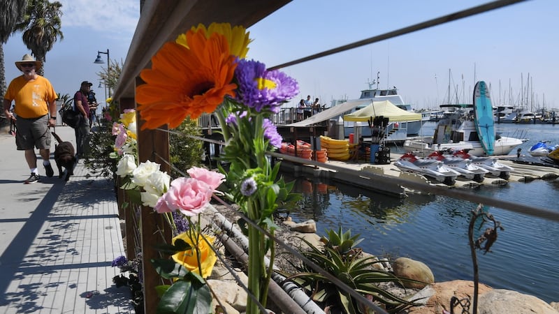 Flowers are left at the moorings where a boat burned and sank off  Santa Cruz Island,  California, with four confirmed dead and 30 missing. Photograph: Mark Ralston/AFP/Getty