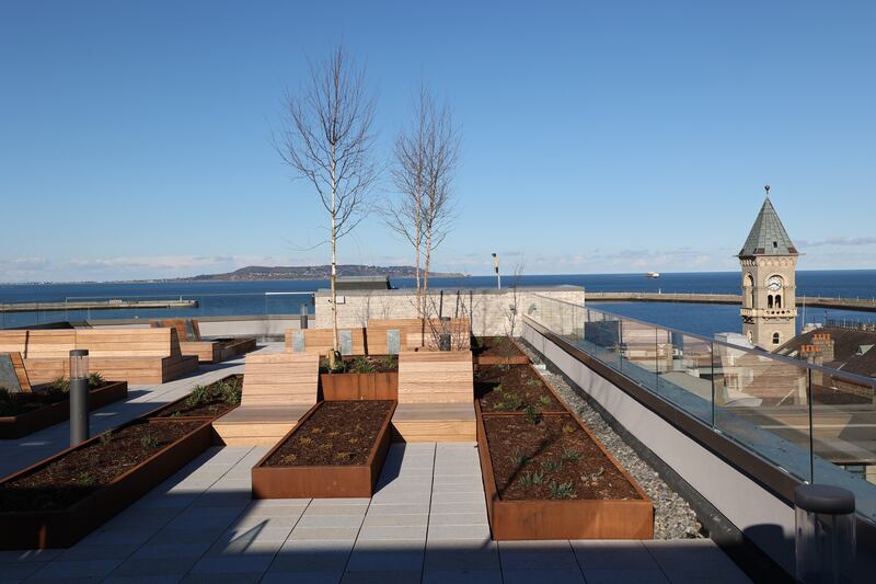 Sky garden detail overlooking Dún Laoghaire harbour. Photograph: Nick Bradshaw 