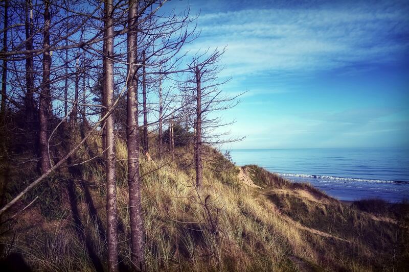 Curracloe Beach Dunes, Wexford. Photograph: iStock