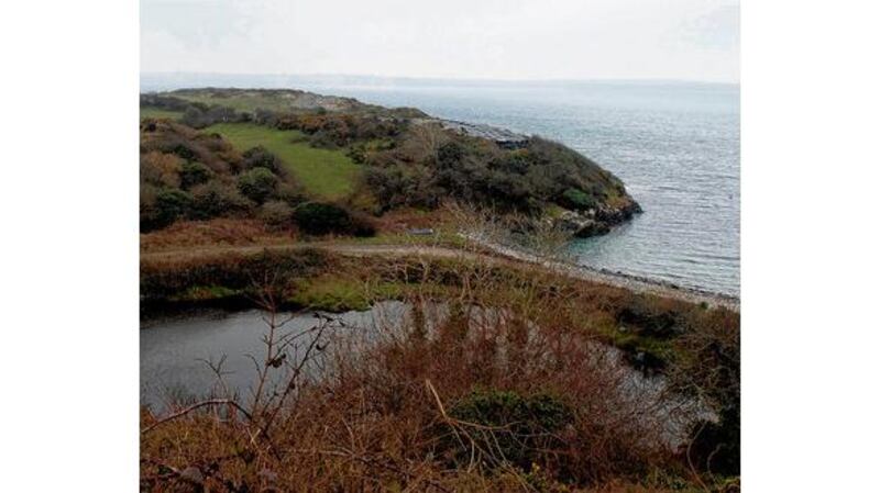 The scene of the drownings at Audley Cove. photographs: michael mac sweeney/provision