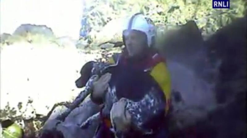 A screengrab provided by the RNLI from a video of Luca the pointer being rescued from Howth Head yesterday. Photograph: RNLI