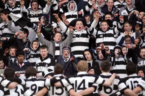 Schools Rugby: Belvedere have total recall of 2005 triumph over Blackrock