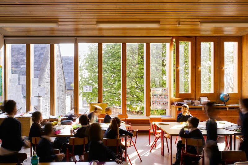 Light pours in through tall windows filtered by fins of coppiced sweet chestnut. Photograph: Ros Kavanagh