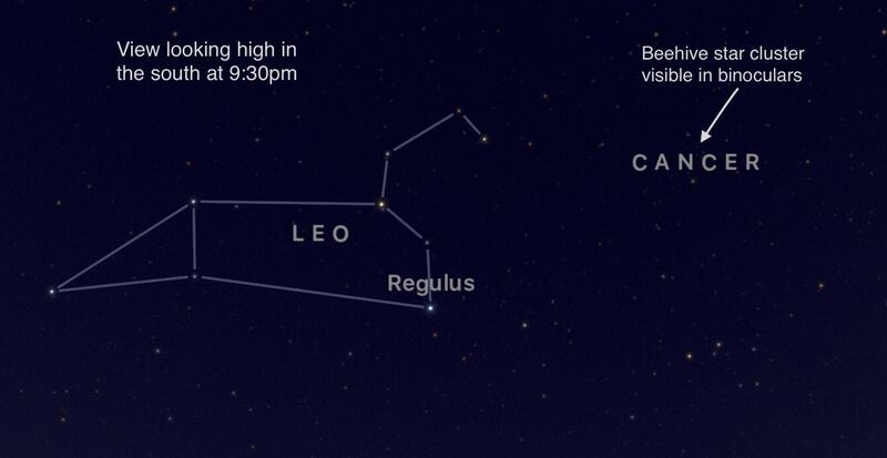 The constellation of Leo. Photograph: Sky Guide app/John Flannery/Irish Astronomical Society