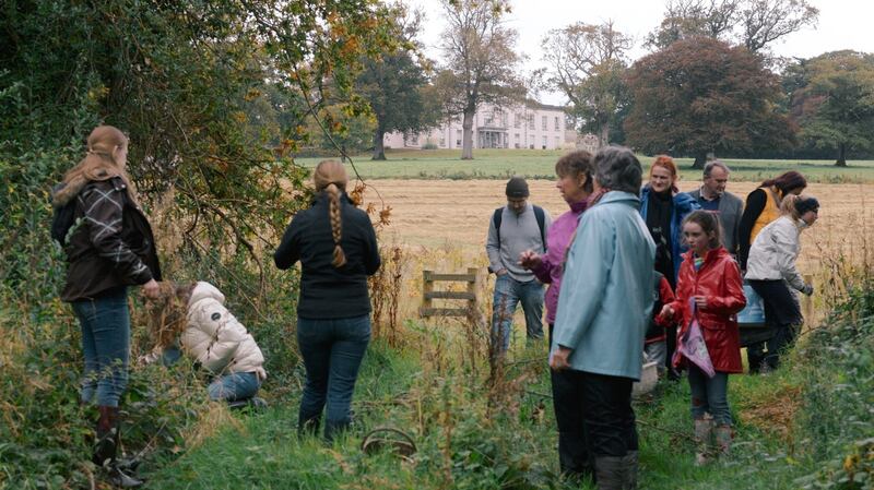 Mushroom hunt at Longueville House, Cork