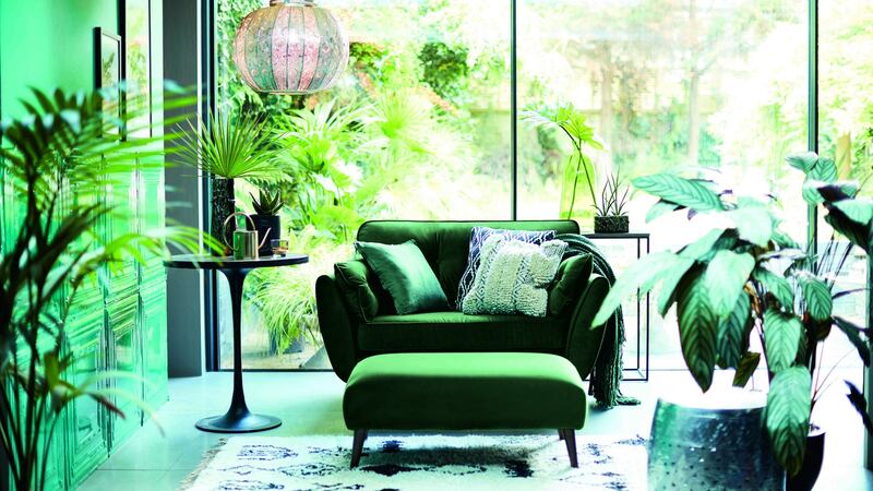 Invest in a statement chair and an exotic plant or two