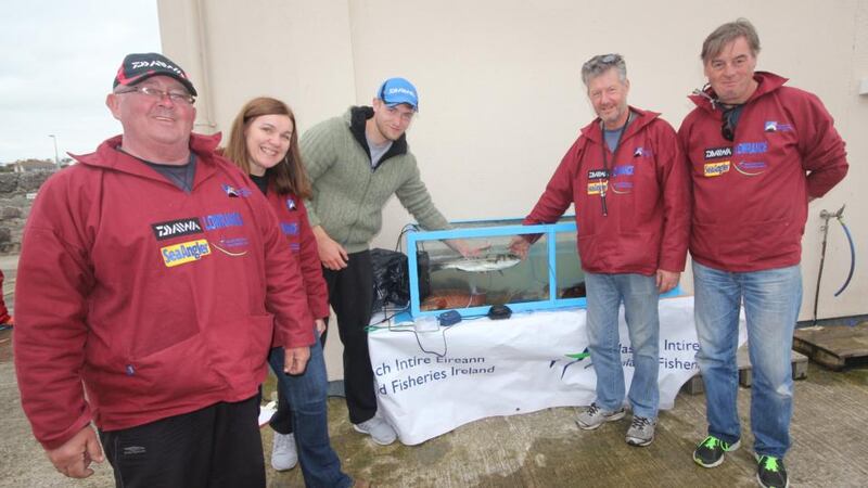 Inland Fisheries Ireland demonstrating catch and release for marine species at Rosslare small boats festival with a team from Southport.