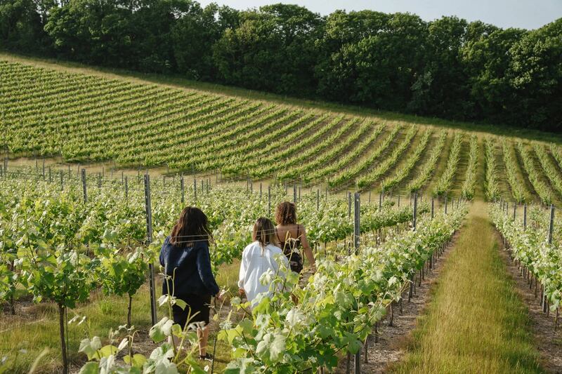 Rathfinny Wine Estates, Sussex, is one of England’s most revered sparkling wine producers.