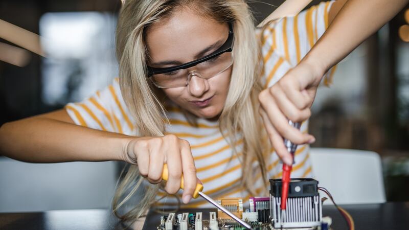 Traineeship gives participants the opportunity to develop cutting-edge skills and knowledge on the job, making them more skilled, more employable and enhancing their career options. Photograph: iStock