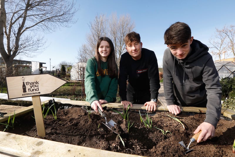 Actor Barry Keoghan tries his hand at gardening at the Green Living and Sustainability Garden (GLAS) in Ballymun: 'Youth groups are vitally important for people in the community, without them I wouldn’t have found acting and definitely wouldn’t be the person I am today.' Photograph: Leon Farrell / Photocall Ireland