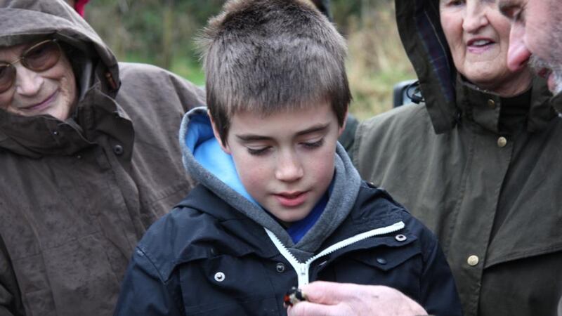 New experience: Declan Manley shows a goldfinch to Hugo Magee at the Garden Bird Day. Photograph: Eric Dempsey