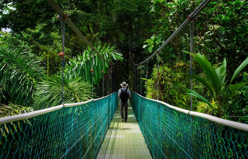 Costa Rica is a paradise of lush rainforests