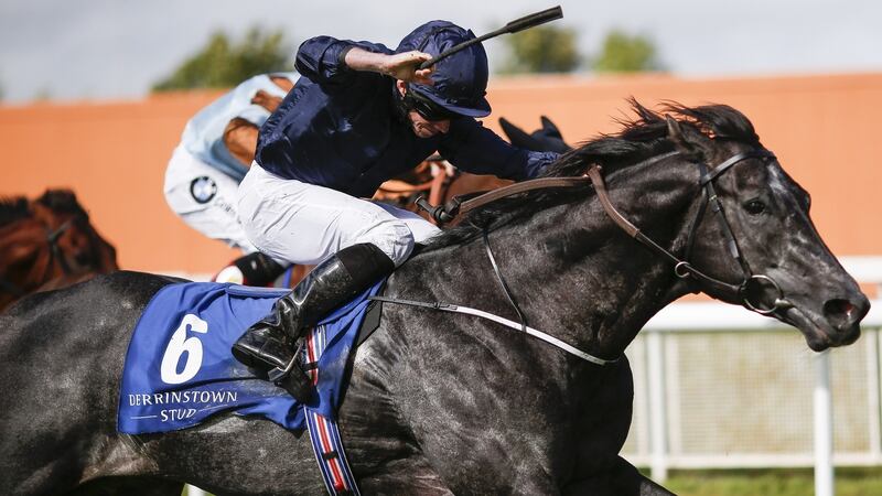 Caravaggio got back to winning ways in impressive fashion at the Curragh. Photograph: Alan Crowhurst/Getty