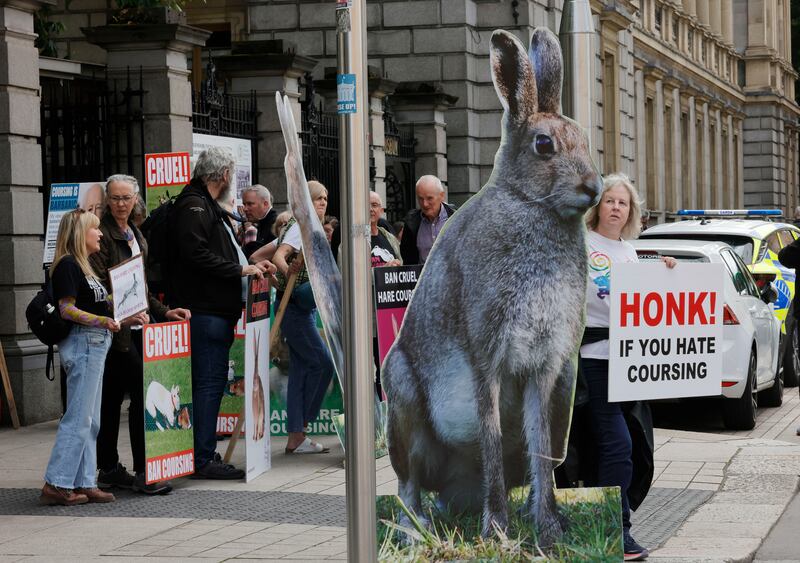 Treassa McVeigh with members of the National Animal Rights Association and the Irish Council against Blood Sports outside the Dáil protesting againt coursing.  Photograph: Alan Betson 