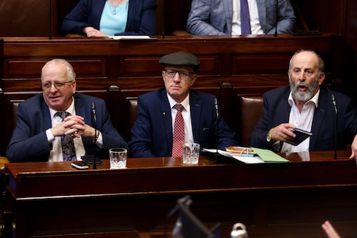 Michael Healy-Rae denounces ‘derogatory, political’ abuse of late mother online
