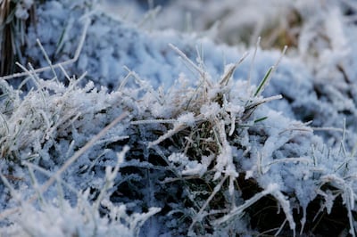 A heavy frost covers frozen grass in the Dublin mountains. Photograph: Alan Betson