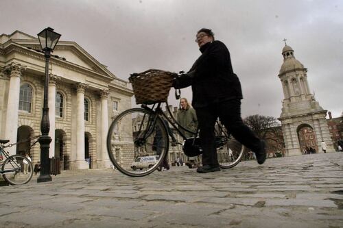 Novices offer independent expertise as TCD Seanad  candidates