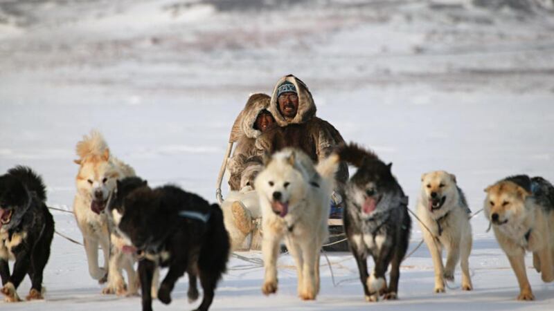 Inuit  driving dog team, Lancaster Sound, Baffin Island, Nunavut